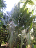 s_B_PICT0026_thumb.png
